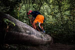 BIB: 
                            <button type="button" onclick="openModal(13522901)" class="btn btn-primary btn-sm float-right btn-popup" data-toggle="modal" data-target=".modal-high-quality">
                        <i class="fas fa-shopping-cart"></i> Add to Cart
                    </button>
                                            <button type="button" onclick="isThisMe(13522901, true)" class="btn btn-success btn-sm float-right btn-popup btn-isme hidden" data-toggle="tooltip" data-placement="bottom" title="นี่คือรูปของคุณใช่ไหม คลิกที่นี่เพื่อเอาเข้าอัลบั้ม">
                        <i class="fas fa-plus"></i> Add to album
                    </button>
                    <button type="button" onclick="isThisMe(13522901, false)" class="btn btn-warning btn-sm float-right btn-popup btn-isnotme hidden">
                        <i class="fas fa-ban"></i> Remove from album
                    </button>