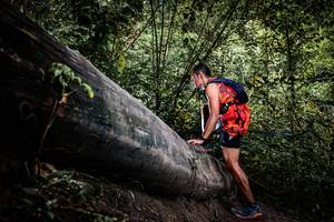 BIB: 
                            <button type="button" onclick="openModal(13523700)" class="btn btn-primary btn-sm float-right btn-popup" data-toggle="modal" data-target=".modal-high-quality">
                        <i class="fas fa-shopping-cart"></i> Add to Cart
                    </button>
                                            <button type="button" onclick="isThisMe(13523700, true)" class="btn btn-success btn-sm float-right btn-popup btn-isme hidden" data-toggle="tooltip" data-placement="bottom" title="นี่คือรูปของคุณใช่ไหม คลิกที่นี่เพื่อเอาเข้าอัลบั้ม">
                        <i class="fas fa-plus"></i> Add to album
                    </button>
                    <button type="button" onclick="isThisMe(13523700, false)" class="btn btn-warning btn-sm float-right btn-popup btn-isnotme hidden">
                        <i class="fas fa-ban"></i> Remove from album
                    </button>