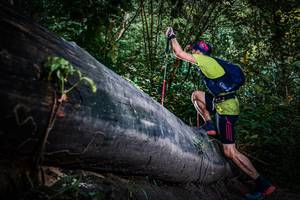 BIB: 
                            <button type="button" onclick="openModal(13519448)" class="btn btn-primary btn-sm float-right btn-popup" data-toggle="modal" data-target=".modal-high-quality">
                        <i class="fas fa-shopping-cart"></i> Add to Cart
                    </button>
                                            <button type="button" onclick="isThisMe(13519448, true)" class="btn btn-success btn-sm float-right btn-popup btn-isme hidden" data-toggle="tooltip" data-placement="bottom" title="นี่คือรูปของคุณใช่ไหม คลิกที่นี่เพื่อเอาเข้าอัลบั้ม">
                        <i class="fas fa-plus"></i> Add to album
                    </button>
                    <button type="button" onclick="isThisMe(13519448, false)" class="btn btn-warning btn-sm float-right btn-popup btn-isnotme hidden">
                        <i class="fas fa-ban"></i> Remove from album
                    </button>