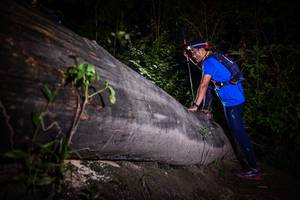 BIB: 
                            <button type="button" onclick="openModal(13517736)" class="btn btn-primary btn-sm float-right btn-popup" data-toggle="modal" data-target=".modal-high-quality">
                        <i class="fas fa-shopping-cart"></i> Add to Cart
                    </button>
                                            <button type="button" onclick="isThisMe(13517736, true)" class="btn btn-success btn-sm float-right btn-popup btn-isme hidden" data-toggle="tooltip" data-placement="bottom" title="นี่คือรูปของคุณใช่ไหม คลิกที่นี่เพื่อเอาเข้าอัลบั้ม">
                        <i class="fas fa-plus"></i> Add to album
                    </button>
                    <button type="button" onclick="isThisMe(13517736, false)" class="btn btn-warning btn-sm float-right btn-popup btn-isnotme hidden">
                        <i class="fas fa-ban"></i> Remove from album
                    </button>