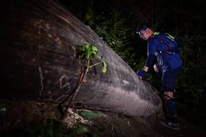 BIB: 
                            <button type="button" onclick="openModal(13517919)" class="btn btn-primary btn-sm float-right btn-popup" data-toggle="modal" data-target=".modal-high-quality">
                        <i class="fas fa-shopping-cart"></i> Add to Cart
                    </button>
                                            <button type="button" onclick="isThisMe(13517919, true)" class="btn btn-success btn-sm float-right btn-popup btn-isme hidden" data-toggle="tooltip" data-placement="bottom" title="นี่คือรูปของคุณใช่ไหม คลิกที่นี่เพื่อเอาเข้าอัลบั้ม">
                        <i class="fas fa-plus"></i> Add to album
                    </button>
                    <button type="button" onclick="isThisMe(13517919, false)" class="btn btn-warning btn-sm float-right btn-popup btn-isnotme hidden">
                        <i class="fas fa-ban"></i> Remove from album
                    </button>