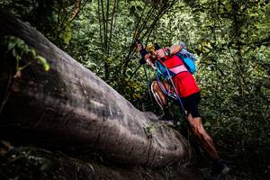 BIB: 
                            <button type="button" onclick="openModal(13523075)" class="btn btn-primary btn-sm float-right btn-popup" data-toggle="modal" data-target=".modal-high-quality">
                        <i class="fas fa-shopping-cart"></i> Add to Cart
                    </button>
                                            <button type="button" onclick="isThisMe(13523075, true)" class="btn btn-success btn-sm float-right btn-popup btn-isme hidden" data-toggle="tooltip" data-placement="bottom" title="นี่คือรูปของคุณใช่ไหม คลิกที่นี่เพื่อเอาเข้าอัลบั้ม">
                        <i class="fas fa-plus"></i> Add to album
                    </button>
                    <button type="button" onclick="isThisMe(13523075, false)" class="btn btn-warning btn-sm float-right btn-popup btn-isnotme hidden">
                        <i class="fas fa-ban"></i> Remove from album
                    </button>