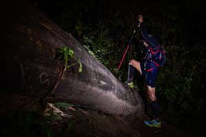 BIB: 
                            <button type="button" onclick="openModal(13518059)" class="btn btn-primary btn-sm float-right btn-popup" data-toggle="modal" data-target=".modal-high-quality">
                        <i class="fas fa-shopping-cart"></i> Add to Cart
                    </button>
                                            <button type="button" onclick="isThisMe(13518059, true)" class="btn btn-success btn-sm float-right btn-popup btn-isme hidden" data-toggle="tooltip" data-placement="bottom" title="นี่คือรูปของคุณใช่ไหม คลิกที่นี่เพื่อเอาเข้าอัลบั้ม">
                        <i class="fas fa-plus"></i> Add to album
                    </button>
                    <button type="button" onclick="isThisMe(13518059, false)" class="btn btn-warning btn-sm float-right btn-popup btn-isnotme hidden">
                        <i class="fas fa-ban"></i> Remove from album
                    </button>