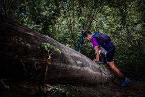 BIB: 
                            <button type="button" onclick="openModal(13522696)" class="btn btn-primary btn-sm float-right btn-popup" data-toggle="modal" data-target=".modal-high-quality">
                        <i class="fas fa-shopping-cart"></i> Add to Cart
                    </button>
                                            <button type="button" onclick="isThisMe(13522696, true)" class="btn btn-success btn-sm float-right btn-popup btn-isme hidden" data-toggle="tooltip" data-placement="bottom" title="นี่คือรูปของคุณใช่ไหม คลิกที่นี่เพื่อเอาเข้าอัลบั้ม">
                        <i class="fas fa-plus"></i> Add to album
                    </button>
                    <button type="button" onclick="isThisMe(13522696, false)" class="btn btn-warning btn-sm float-right btn-popup btn-isnotme hidden">
                        <i class="fas fa-ban"></i> Remove from album
                    </button>