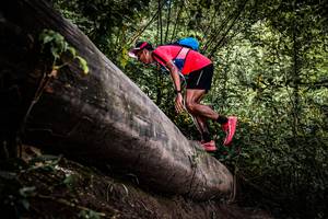 BIB: 
                            <button type="button" onclick="openModal(13523818)" class="btn btn-primary btn-sm float-right btn-popup" data-toggle="modal" data-target=".modal-high-quality">
                        <i class="fas fa-shopping-cart"></i> Add to Cart
                    </button>
                                            <button type="button" onclick="isThisMe(13523818, true)" class="btn btn-success btn-sm float-right btn-popup btn-isme hidden" data-toggle="tooltip" data-placement="bottom" title="นี่คือรูปของคุณใช่ไหม คลิกที่นี่เพื่อเอาเข้าอัลบั้ม">
                        <i class="fas fa-plus"></i> Add to album
                    </button>
                    <button type="button" onclick="isThisMe(13523818, false)" class="btn btn-warning btn-sm float-right btn-popup btn-isnotme hidden">
                        <i class="fas fa-ban"></i> Remove from album
                    </button>