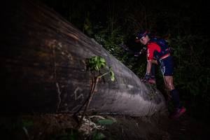 BIB: 
                            <button type="button" onclick="openModal(13517886)" class="btn btn-primary btn-sm float-right btn-popup" data-toggle="modal" data-target=".modal-high-quality">
                        <i class="fas fa-shopping-cart"></i> Add to Cart
                    </button>
                                            <button type="button" onclick="isThisMe(13517886, true)" class="btn btn-success btn-sm float-right btn-popup btn-isme hidden" data-toggle="tooltip" data-placement="bottom" title="นี่คือรูปของคุณใช่ไหม คลิกที่นี่เพื่อเอาเข้าอัลบั้ม">
                        <i class="fas fa-plus"></i> Add to album
                    </button>
                    <button type="button" onclick="isThisMe(13517886, false)" class="btn btn-warning btn-sm float-right btn-popup btn-isnotme hidden">
                        <i class="fas fa-ban"></i> Remove from album
                    </button>