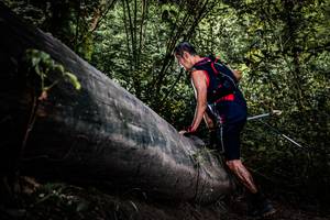 BIB: 
                            <button type="button" onclick="openModal(13523123)" class="btn btn-primary btn-sm float-right btn-popup" data-toggle="modal" data-target=".modal-high-quality">
                        <i class="fas fa-shopping-cart"></i> Add to Cart
                    </button>
                                            <button type="button" onclick="isThisMe(13523123, true)" class="btn btn-success btn-sm float-right btn-popup btn-isme hidden" data-toggle="tooltip" data-placement="bottom" title="นี่คือรูปของคุณใช่ไหม คลิกที่นี่เพื่อเอาเข้าอัลบั้ม">
                        <i class="fas fa-plus"></i> Add to album
                    </button>
                    <button type="button" onclick="isThisMe(13523123, false)" class="btn btn-warning btn-sm float-right btn-popup btn-isnotme hidden">
                        <i class="fas fa-ban"></i> Remove from album
                    </button>