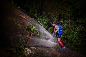 BIB: 
                            <button type="button" onclick="openModal(13517348)" class="btn btn-primary btn-sm float-right btn-popup" data-toggle="modal" data-target=".modal-high-quality">
                        <i class="fas fa-shopping-cart"></i> Add to Cart
                    </button>
                                            <button type="button" onclick="isThisMe(13517348, true)" class="btn btn-success btn-sm float-right btn-popup btn-isme hidden" data-toggle="tooltip" data-placement="bottom" title="นี่คือรูปของคุณใช่ไหม คลิกที่นี่เพื่อเอาเข้าอัลบั้ม">
                        <i class="fas fa-plus"></i> Add to album
                    </button>
                    <button type="button" onclick="isThisMe(13517348, false)" class="btn btn-warning btn-sm float-right btn-popup btn-isnotme hidden">
                        <i class="fas fa-ban"></i> Remove from album
                    </button>