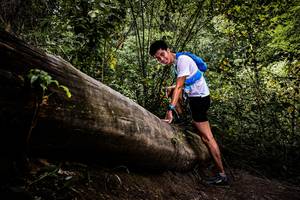 BIB: 
                            <button type="button" onclick="openModal(13525899)" class="btn btn-primary btn-sm float-right btn-popup" data-toggle="modal" data-target=".modal-high-quality">
                        <i class="fas fa-shopping-cart"></i> Add to Cart
                    </button>
                                            <button type="button" onclick="isThisMe(13525899, true)" class="btn btn-success btn-sm float-right btn-popup btn-isme hidden" data-toggle="tooltip" data-placement="bottom" title="นี่คือรูปของคุณใช่ไหม คลิกที่นี่เพื่อเอาเข้าอัลบั้ม">
                        <i class="fas fa-plus"></i> Add to album
                    </button>
                    <button type="button" onclick="isThisMe(13525899, false)" class="btn btn-warning btn-sm float-right btn-popup btn-isnotme hidden">
                        <i class="fas fa-ban"></i> Remove from album
                    </button>