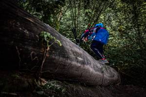 BIB: 
                            <button type="button" onclick="openModal(13522615)" class="btn btn-primary btn-sm float-right btn-popup" data-toggle="modal" data-target=".modal-high-quality">
                        <i class="fas fa-shopping-cart"></i> Add to Cart
                    </button>
                                            <button type="button" onclick="isThisMe(13522615, true)" class="btn btn-success btn-sm float-right btn-popup btn-isme hidden" data-toggle="tooltip" data-placement="bottom" title="นี่คือรูปของคุณใช่ไหม คลิกที่นี่เพื่อเอาเข้าอัลบั้ม">
                        <i class="fas fa-plus"></i> Add to album
                    </button>
                    <button type="button" onclick="isThisMe(13522615, false)" class="btn btn-warning btn-sm float-right btn-popup btn-isnotme hidden">
                        <i class="fas fa-ban"></i> Remove from album
                    </button>