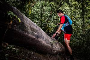 BIB: 
                            <button type="button" onclick="openModal(13523513)" class="btn btn-primary btn-sm float-right btn-popup" data-toggle="modal" data-target=".modal-high-quality">
                        <i class="fas fa-shopping-cart"></i> Add to Cart
                    </button>
                                            <button type="button" onclick="isThisMe(13523513, true)" class="btn btn-success btn-sm float-right btn-popup btn-isme hidden" data-toggle="tooltip" data-placement="bottom" title="นี่คือรูปของคุณใช่ไหม คลิกที่นี่เพื่อเอาเข้าอัลบั้ม">
                        <i class="fas fa-plus"></i> Add to album
                    </button>
                    <button type="button" onclick="isThisMe(13523513, false)" class="btn btn-warning btn-sm float-right btn-popup btn-isnotme hidden">
                        <i class="fas fa-ban"></i> Remove from album
                    </button>