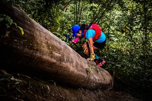 BIB: 
                            <button type="button" onclick="openModal(13525760)" class="btn btn-primary btn-sm float-right btn-popup" data-toggle="modal" data-target=".modal-high-quality">
                        <i class="fas fa-shopping-cart"></i> Add to Cart
                    </button>
                                            <button type="button" onclick="isThisMe(13525760, true)" class="btn btn-success btn-sm float-right btn-popup btn-isme hidden" data-toggle="tooltip" data-placement="bottom" title="นี่คือรูปของคุณใช่ไหม คลิกที่นี่เพื่อเอาเข้าอัลบั้ม">
                        <i class="fas fa-plus"></i> Add to album
                    </button>
                    <button type="button" onclick="isThisMe(13525760, false)" class="btn btn-warning btn-sm float-right btn-popup btn-isnotme hidden">
                        <i class="fas fa-ban"></i> Remove from album
                    </button>