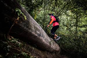 BIB: 
                            <button type="button" onclick="openModal(13523847)" class="btn btn-primary btn-sm float-right btn-popup" data-toggle="modal" data-target=".modal-high-quality">
                        <i class="fas fa-shopping-cart"></i> Add to Cart
                    </button>
                                            <button type="button" onclick="isThisMe(13523847, true)" class="btn btn-success btn-sm float-right btn-popup btn-isme hidden" data-toggle="tooltip" data-placement="bottom" title="นี่คือรูปของคุณใช่ไหม คลิกที่นี่เพื่อเอาเข้าอัลบั้ม">
                        <i class="fas fa-plus"></i> Add to album
                    </button>
                    <button type="button" onclick="isThisMe(13523847, false)" class="btn btn-warning btn-sm float-right btn-popup btn-isnotme hidden">
                        <i class="fas fa-ban"></i> Remove from album
                    </button>