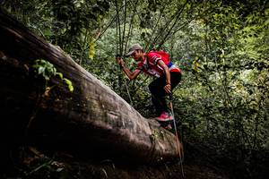 BIB: 
                            <button type="button" onclick="openModal(13525934)" class="btn btn-primary btn-sm float-right btn-popup" data-toggle="modal" data-target=".modal-high-quality">
                        <i class="fas fa-shopping-cart"></i> Add to Cart
                    </button>
                                            <button type="button" onclick="isThisMe(13525934, true)" class="btn btn-success btn-sm float-right btn-popup btn-isme hidden" data-toggle="tooltip" data-placement="bottom" title="นี่คือรูปของคุณใช่ไหม คลิกที่นี่เพื่อเอาเข้าอัลบั้ม">
                        <i class="fas fa-plus"></i> Add to album
                    </button>
                    <button type="button" onclick="isThisMe(13525934, false)" class="btn btn-warning btn-sm float-right btn-popup btn-isnotme hidden">
                        <i class="fas fa-ban"></i> Remove from album
                    </button>