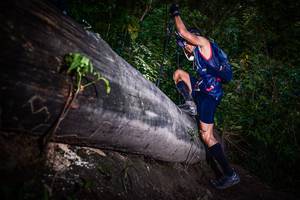 BIB: 
                            <button type="button" onclick="openModal(13519221)" class="btn btn-primary btn-sm float-right btn-popup" data-toggle="modal" data-target=".modal-high-quality">
                        <i class="fas fa-shopping-cart"></i> Add to Cart
                    </button>
                                            <button type="button" onclick="isThisMe(13519221, true)" class="btn btn-success btn-sm float-right btn-popup btn-isme hidden" data-toggle="tooltip" data-placement="bottom" title="นี่คือรูปของคุณใช่ไหม คลิกที่นี่เพื่อเอาเข้าอัลบั้ม">
                        <i class="fas fa-plus"></i> Add to album
                    </button>
                    <button type="button" onclick="isThisMe(13519221, false)" class="btn btn-warning btn-sm float-right btn-popup btn-isnotme hidden">
                        <i class="fas fa-ban"></i> Remove from album
                    </button>