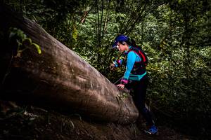 BIB: 
                            <button type="button" onclick="openModal(13525511)" class="btn btn-primary btn-sm float-right btn-popup" data-toggle="modal" data-target=".modal-high-quality">
                        <i class="fas fa-shopping-cart"></i> Add to Cart
                    </button>
                                            <button type="button" onclick="isThisMe(13525511, true)" class="btn btn-success btn-sm float-right btn-popup btn-isme hidden" data-toggle="tooltip" data-placement="bottom" title="นี่คือรูปของคุณใช่ไหม คลิกที่นี่เพื่อเอาเข้าอัลบั้ม">
                        <i class="fas fa-plus"></i> Add to album
                    </button>
                    <button type="button" onclick="isThisMe(13525511, false)" class="btn btn-warning btn-sm float-right btn-popup btn-isnotme hidden">
                        <i class="fas fa-ban"></i> Remove from album
                    </button>