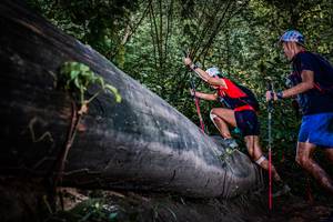 BIB: 
                            <button type="button" onclick="openModal(13519739)" class="btn btn-primary btn-sm float-right btn-popup" data-toggle="modal" data-target=".modal-high-quality">
                        <i class="fas fa-shopping-cart"></i> Add to Cart
                    </button>
                                            <button type="button" onclick="isThisMe(13519739, true)" class="btn btn-success btn-sm float-right btn-popup btn-isme hidden" data-toggle="tooltip" data-placement="bottom" title="นี่คือรูปของคุณใช่ไหม คลิกที่นี่เพื่อเอาเข้าอัลบั้ม">
                        <i class="fas fa-plus"></i> Add to album
                    </button>
                    <button type="button" onclick="isThisMe(13519739, false)" class="btn btn-warning btn-sm float-right btn-popup btn-isnotme hidden">
                        <i class="fas fa-ban"></i> Remove from album
                    </button>