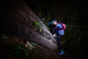 BIB: 
                            <button type="button" onclick="openModal(13518567)" class="btn btn-primary btn-sm float-right btn-popup" data-toggle="modal" data-target=".modal-high-quality">
                        <i class="fas fa-shopping-cart"></i> Add to Cart
                    </button>
                                            <button type="button" onclick="isThisMe(13518567, true)" class="btn btn-success btn-sm float-right btn-popup btn-isme hidden" data-toggle="tooltip" data-placement="bottom" title="นี่คือรูปของคุณใช่ไหม คลิกที่นี่เพื่อเอาเข้าอัลบั้ม">
                        <i class="fas fa-plus"></i> Add to album
                    </button>
                    <button type="button" onclick="isThisMe(13518567, false)" class="btn btn-warning btn-sm float-right btn-popup btn-isnotme hidden">
                        <i class="fas fa-ban"></i> Remove from album
                    </button>