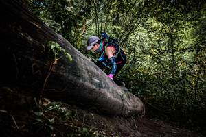 BIB: 
                            <button type="button" onclick="openModal(13523307)" class="btn btn-primary btn-sm float-right btn-popup" data-toggle="modal" data-target=".modal-high-quality">
                        <i class="fas fa-shopping-cart"></i> Add to Cart
                    </button>
                                            <button type="button" onclick="isThisMe(13523307, true)" class="btn btn-success btn-sm float-right btn-popup btn-isme hidden" data-toggle="tooltip" data-placement="bottom" title="นี่คือรูปของคุณใช่ไหม คลิกที่นี่เพื่อเอาเข้าอัลบั้ม">
                        <i class="fas fa-plus"></i> Add to album
                    </button>
                    <button type="button" onclick="isThisMe(13523307, false)" class="btn btn-warning btn-sm float-right btn-popup btn-isnotme hidden">
                        <i class="fas fa-ban"></i> Remove from album
                    </button>