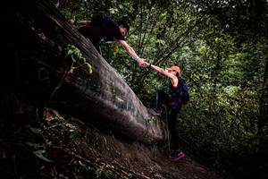 BIB: 
                            <button type="button" onclick="openModal(13525470)" class="btn btn-primary btn-sm float-right btn-popup" data-toggle="modal" data-target=".modal-high-quality">
                        <i class="fas fa-shopping-cart"></i> Add to Cart
                    </button>
                                            <button type="button" onclick="isThisMe(13525470, true)" class="btn btn-success btn-sm float-right btn-popup btn-isme hidden" data-toggle="tooltip" data-placement="bottom" title="นี่คือรูปของคุณใช่ไหม คลิกที่นี่เพื่อเอาเข้าอัลบั้ม">
                        <i class="fas fa-plus"></i> Add to album
                    </button>
                    <button type="button" onclick="isThisMe(13525470, false)" class="btn btn-warning btn-sm float-right btn-popup btn-isnotme hidden">
                        <i class="fas fa-ban"></i> Remove from album
                    </button>