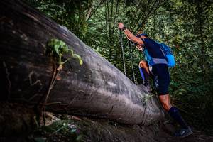 BIB: 
                            <button type="button" onclick="openModal(13519896)" class="btn btn-primary btn-sm float-right btn-popup" data-toggle="modal" data-target=".modal-high-quality">
                        <i class="fas fa-shopping-cart"></i> Add to Cart
                    </button>
                                            <button type="button" onclick="isThisMe(13519896, true)" class="btn btn-success btn-sm float-right btn-popup btn-isme hidden" data-toggle="tooltip" data-placement="bottom" title="นี่คือรูปของคุณใช่ไหม คลิกที่นี่เพื่อเอาเข้าอัลบั้ม">
                        <i class="fas fa-plus"></i> Add to album
                    </button>
                    <button type="button" onclick="isThisMe(13519896, false)" class="btn btn-warning btn-sm float-right btn-popup btn-isnotme hidden">
                        <i class="fas fa-ban"></i> Remove from album
                    </button>