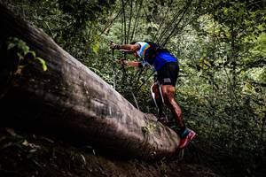 BIB: 
                            <button type="button" onclick="openModal(13525758)" class="btn btn-primary btn-sm float-right btn-popup" data-toggle="modal" data-target=".modal-high-quality">
                        <i class="fas fa-shopping-cart"></i> Add to Cart
                    </button>
                                            <button type="button" onclick="isThisMe(13525758, true)" class="btn btn-success btn-sm float-right btn-popup btn-isme hidden" data-toggle="tooltip" data-placement="bottom" title="นี่คือรูปของคุณใช่ไหม คลิกที่นี่เพื่อเอาเข้าอัลบั้ม">
                        <i class="fas fa-plus"></i> Add to album
                    </button>
                    <button type="button" onclick="isThisMe(13525758, false)" class="btn btn-warning btn-sm float-right btn-popup btn-isnotme hidden">
                        <i class="fas fa-ban"></i> Remove from album
                    </button>