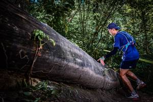 BIB: 
                            <button type="button" onclick="openModal(13519865)" class="btn btn-primary btn-sm float-right btn-popup" data-toggle="modal" data-target=".modal-high-quality">
                        <i class="fas fa-shopping-cart"></i> Add to Cart
                    </button>
                                            <button type="button" onclick="isThisMe(13519865, true)" class="btn btn-success btn-sm float-right btn-popup btn-isme hidden" data-toggle="tooltip" data-placement="bottom" title="นี่คือรูปของคุณใช่ไหม คลิกที่นี่เพื่อเอาเข้าอัลบั้ม">
                        <i class="fas fa-plus"></i> Add to album
                    </button>
                    <button type="button" onclick="isThisMe(13519865, false)" class="btn btn-warning btn-sm float-right btn-popup btn-isnotme hidden">
                        <i class="fas fa-ban"></i> Remove from album
                    </button>