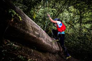 BIB: 
                            <button type="button" onclick="openModal(13525254)" class="btn btn-primary btn-sm float-right btn-popup" data-toggle="modal" data-target=".modal-high-quality">
                        <i class="fas fa-shopping-cart"></i> Add to Cart
                    </button>
                                            <button type="button" onclick="isThisMe(13525254, true)" class="btn btn-success btn-sm float-right btn-popup btn-isme hidden" data-toggle="tooltip" data-placement="bottom" title="นี่คือรูปของคุณใช่ไหม คลิกที่นี่เพื่อเอาเข้าอัลบั้ม">
                        <i class="fas fa-plus"></i> Add to album
                    </button>
                    <button type="button" onclick="isThisMe(13525254, false)" class="btn btn-warning btn-sm float-right btn-popup btn-isnotme hidden">
                        <i class="fas fa-ban"></i> Remove from album
                    </button>