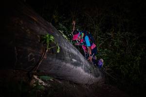 BIB: 
                            <button type="button" onclick="openModal(13517956)" class="btn btn-primary btn-sm float-right btn-popup" data-toggle="modal" data-target=".modal-high-quality">
                        <i class="fas fa-shopping-cart"></i> Add to Cart
                    </button>
                                            <button type="button" onclick="isThisMe(13517956, true)" class="btn btn-success btn-sm float-right btn-popup btn-isme hidden" data-toggle="tooltip" data-placement="bottom" title="นี่คือรูปของคุณใช่ไหม คลิกที่นี่เพื่อเอาเข้าอัลบั้ม">
                        <i class="fas fa-plus"></i> Add to album
                    </button>
                    <button type="button" onclick="isThisMe(13517956, false)" class="btn btn-warning btn-sm float-right btn-popup btn-isnotme hidden">
                        <i class="fas fa-ban"></i> Remove from album
                    </button>