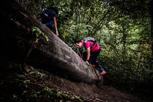 BIB: 
                            <button type="button" onclick="openModal(13525263)" class="btn btn-primary btn-sm float-right btn-popup" data-toggle="modal" data-target=".modal-high-quality">
                        <i class="fas fa-shopping-cart"></i> Add to Cart
                    </button>
                                            <button type="button" onclick="isThisMe(13525263, true)" class="btn btn-success btn-sm float-right btn-popup btn-isme hidden" data-toggle="tooltip" data-placement="bottom" title="นี่คือรูปของคุณใช่ไหม คลิกที่นี่เพื่อเอาเข้าอัลบั้ม">
                        <i class="fas fa-plus"></i> Add to album
                    </button>
                    <button type="button" onclick="isThisMe(13525263, false)" class="btn btn-warning btn-sm float-right btn-popup btn-isnotme hidden">
                        <i class="fas fa-ban"></i> Remove from album
                    </button>