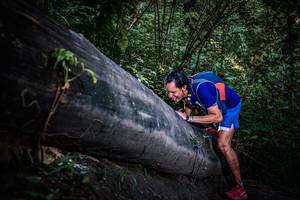 BIB: 
                            <button type="button" onclick="openModal(13519528)" class="btn btn-primary btn-sm float-right btn-popup" data-toggle="modal" data-target=".modal-high-quality">
                        <i class="fas fa-shopping-cart"></i> Add to Cart
                    </button>
                                            <button type="button" onclick="isThisMe(13519528, true)" class="btn btn-success btn-sm float-right btn-popup btn-isme hidden" data-toggle="tooltip" data-placement="bottom" title="นี่คือรูปของคุณใช่ไหม คลิกที่นี่เพื่อเอาเข้าอัลบั้ม">
                        <i class="fas fa-plus"></i> Add to album
                    </button>
                    <button type="button" onclick="isThisMe(13519528, false)" class="btn btn-warning btn-sm float-right btn-popup btn-isnotme hidden">
                        <i class="fas fa-ban"></i> Remove from album
                    </button>