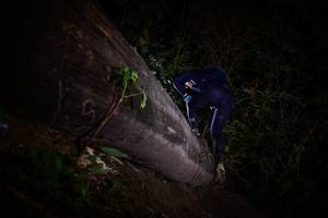 BIB: 
                            <button type="button" onclick="openModal(13518173)" class="btn btn-primary btn-sm float-right btn-popup" data-toggle="modal" data-target=".modal-high-quality">
                        <i class="fas fa-shopping-cart"></i> Add to Cart
                    </button>
                                            <button type="button" onclick="isThisMe(13518173, true)" class="btn btn-success btn-sm float-right btn-popup btn-isme hidden" data-toggle="tooltip" data-placement="bottom" title="นี่คือรูปของคุณใช่ไหม คลิกที่นี่เพื่อเอาเข้าอัลบั้ม">
                        <i class="fas fa-plus"></i> Add to album
                    </button>
                    <button type="button" onclick="isThisMe(13518173, false)" class="btn btn-warning btn-sm float-right btn-popup btn-isnotme hidden">
                        <i class="fas fa-ban"></i> Remove from album
                    </button>