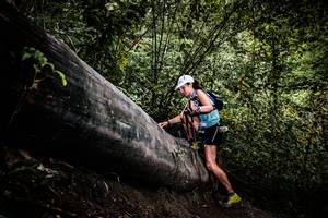 BIB: 
                            <button type="button" onclick="openModal(13525640)" class="btn btn-primary btn-sm float-right btn-popup" data-toggle="modal" data-target=".modal-high-quality">
                        <i class="fas fa-shopping-cart"></i> Add to Cart
                    </button>
                                            <button type="button" onclick="isThisMe(13525640, true)" class="btn btn-success btn-sm float-right btn-popup btn-isme hidden" data-toggle="tooltip" data-placement="bottom" title="นี่คือรูปของคุณใช่ไหม คลิกที่นี่เพื่อเอาเข้าอัลบั้ม">
                        <i class="fas fa-plus"></i> Add to album
                    </button>
                    <button type="button" onclick="isThisMe(13525640, false)" class="btn btn-warning btn-sm float-right btn-popup btn-isnotme hidden">
                        <i class="fas fa-ban"></i> Remove from album
                    </button>