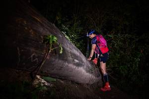 BIB: 
                            <button type="button" onclick="openModal(13518052)" class="btn btn-primary btn-sm float-right btn-popup" data-toggle="modal" data-target=".modal-high-quality">
                        <i class="fas fa-shopping-cart"></i> Add to Cart
                    </button>
                                            <button type="button" onclick="isThisMe(13518052, true)" class="btn btn-success btn-sm float-right btn-popup btn-isme hidden" data-toggle="tooltip" data-placement="bottom" title="นี่คือรูปของคุณใช่ไหม คลิกที่นี่เพื่อเอาเข้าอัลบั้ม">
                        <i class="fas fa-plus"></i> Add to album
                    </button>
                    <button type="button" onclick="isThisMe(13518052, false)" class="btn btn-warning btn-sm float-right btn-popup btn-isnotme hidden">
                        <i class="fas fa-ban"></i> Remove from album
                    </button>