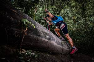 BIB: 
                            <button type="button" onclick="openModal(13522776)" class="btn btn-primary btn-sm float-right btn-popup" data-toggle="modal" data-target=".modal-high-quality">
                        <i class="fas fa-shopping-cart"></i> Add to Cart
                    </button>
                                            <button type="button" onclick="isThisMe(13522776, true)" class="btn btn-success btn-sm float-right btn-popup btn-isme hidden" data-toggle="tooltip" data-placement="bottom" title="นี่คือรูปของคุณใช่ไหม คลิกที่นี่เพื่อเอาเข้าอัลบั้ม">
                        <i class="fas fa-plus"></i> Add to album
                    </button>
                    <button type="button" onclick="isThisMe(13522776, false)" class="btn btn-warning btn-sm float-right btn-popup btn-isnotme hidden">
                        <i class="fas fa-ban"></i> Remove from album
                    </button>