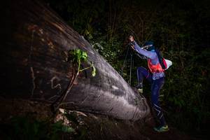 BIB: 
                            <button type="button" onclick="openModal(13519195)" class="btn btn-primary btn-sm float-right btn-popup" data-toggle="modal" data-target=".modal-high-quality">
                        <i class="fas fa-shopping-cart"></i> Add to Cart
                    </button>
                                            <button type="button" onclick="isThisMe(13519195, true)" class="btn btn-success btn-sm float-right btn-popup btn-isme hidden" data-toggle="tooltip" data-placement="bottom" title="นี่คือรูปของคุณใช่ไหม คลิกที่นี่เพื่อเอาเข้าอัลบั้ม">
                        <i class="fas fa-plus"></i> Add to album
                    </button>
                    <button type="button" onclick="isThisMe(13519195, false)" class="btn btn-warning btn-sm float-right btn-popup btn-isnotme hidden">
                        <i class="fas fa-ban"></i> Remove from album
                    </button>