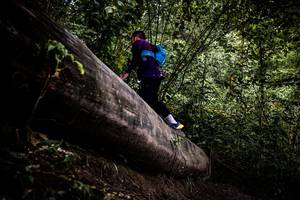 BIB: 
                            <button type="button" onclick="openModal(13525327)" class="btn btn-primary btn-sm float-right btn-popup" data-toggle="modal" data-target=".modal-high-quality">
                        <i class="fas fa-shopping-cart"></i> Add to Cart
                    </button>
                                            <button type="button" onclick="isThisMe(13525327, true)" class="btn btn-success btn-sm float-right btn-popup btn-isme hidden" data-toggle="tooltip" data-placement="bottom" title="นี่คือรูปของคุณใช่ไหม คลิกที่นี่เพื่อเอาเข้าอัลบั้ม">
                        <i class="fas fa-plus"></i> Add to album
                    </button>
                    <button type="button" onclick="isThisMe(13525327, false)" class="btn btn-warning btn-sm float-right btn-popup btn-isnotme hidden">
                        <i class="fas fa-ban"></i> Remove from album
                    </button>