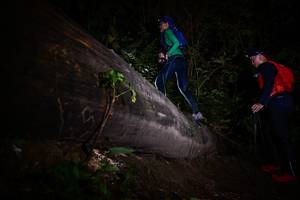 BIB: 
                            <button type="button" onclick="openModal(13518437)" class="btn btn-primary btn-sm float-right btn-popup" data-toggle="modal" data-target=".modal-high-quality">
                        <i class="fas fa-shopping-cart"></i> Add to Cart
                    </button>
                                            <button type="button" onclick="isThisMe(13518437, true)" class="btn btn-success btn-sm float-right btn-popup btn-isme hidden" data-toggle="tooltip" data-placement="bottom" title="นี่คือรูปของคุณใช่ไหม คลิกที่นี่เพื่อเอาเข้าอัลบั้ม">
                        <i class="fas fa-plus"></i> Add to album
                    </button>
                    <button type="button" onclick="isThisMe(13518437, false)" class="btn btn-warning btn-sm float-right btn-popup btn-isnotme hidden">
                        <i class="fas fa-ban"></i> Remove from album
                    </button>