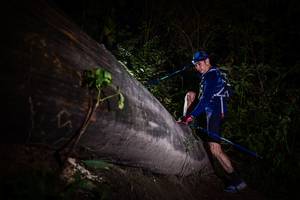 BIB: 
                            <button type="button" onclick="openModal(13518072)" class="btn btn-primary btn-sm float-right btn-popup" data-toggle="modal" data-target=".modal-high-quality">
                        <i class="fas fa-shopping-cart"></i> Add to Cart
                    </button>
                                            <button type="button" onclick="isThisMe(13518072, true)" class="btn btn-success btn-sm float-right btn-popup btn-isme hidden" data-toggle="tooltip" data-placement="bottom" title="นี่คือรูปของคุณใช่ไหม คลิกที่นี่เพื่อเอาเข้าอัลบั้ม">
                        <i class="fas fa-plus"></i> Add to album
                    </button>
                    <button type="button" onclick="isThisMe(13518072, false)" class="btn btn-warning btn-sm float-right btn-popup btn-isnotme hidden">
                        <i class="fas fa-ban"></i> Remove from album
                    </button>