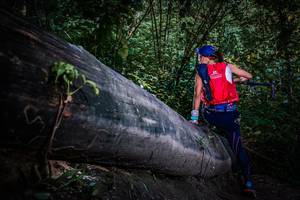 BIB: 
                            <button type="button" onclick="openModal(13519511)" class="btn btn-primary btn-sm float-right btn-popup" data-toggle="modal" data-target=".modal-high-quality">
                        <i class="fas fa-shopping-cart"></i> Add to Cart
                    </button>
                                            <button type="button" onclick="isThisMe(13519511, true)" class="btn btn-success btn-sm float-right btn-popup btn-isme hidden" data-toggle="tooltip" data-placement="bottom" title="นี่คือรูปของคุณใช่ไหม คลิกที่นี่เพื่อเอาเข้าอัลบั้ม">
                        <i class="fas fa-plus"></i> Add to album
                    </button>
                    <button type="button" onclick="isThisMe(13519511, false)" class="btn btn-warning btn-sm float-right btn-popup btn-isnotme hidden">
                        <i class="fas fa-ban"></i> Remove from album
                    </button>