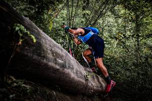 BIB: 
                            <button type="button" onclick="openModal(13523588)" class="btn btn-primary btn-sm float-right btn-popup" data-toggle="modal" data-target=".modal-high-quality">
                        <i class="fas fa-shopping-cart"></i> Add to Cart
                    </button>
                                            <button type="button" onclick="isThisMe(13523588, true)" class="btn btn-success btn-sm float-right btn-popup btn-isme hidden" data-toggle="tooltip" data-placement="bottom" title="นี่คือรูปของคุณใช่ไหม คลิกที่นี่เพื่อเอาเข้าอัลบั้ม">
                        <i class="fas fa-plus"></i> Add to album
                    </button>
                    <button type="button" onclick="isThisMe(13523588, false)" class="btn btn-warning btn-sm float-right btn-popup btn-isnotme hidden">
                        <i class="fas fa-ban"></i> Remove from album
                    </button>