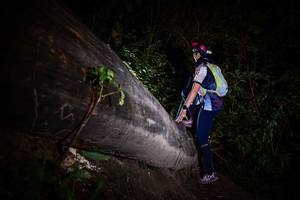 BIB: 
                            <button type="button" onclick="openModal(13518044)" class="btn btn-primary btn-sm float-right btn-popup" data-toggle="modal" data-target=".modal-high-quality">
                        <i class="fas fa-shopping-cart"></i> Add to Cart
                    </button>
                                            <button type="button" onclick="isThisMe(13518044, true)" class="btn btn-success btn-sm float-right btn-popup btn-isme hidden" data-toggle="tooltip" data-placement="bottom" title="นี่คือรูปของคุณใช่ไหม คลิกที่นี่เพื่อเอาเข้าอัลบั้ม">
                        <i class="fas fa-plus"></i> Add to album
                    </button>
                    <button type="button" onclick="isThisMe(13518044, false)" class="btn btn-warning btn-sm float-right btn-popup btn-isnotme hidden">
                        <i class="fas fa-ban"></i> Remove from album
                    </button>