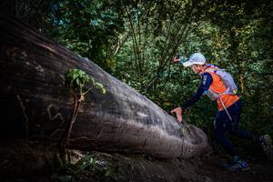 BIB: 
                            <button type="button" onclick="openModal(13519390)" class="btn btn-primary btn-sm float-right btn-popup" data-toggle="modal" data-target=".modal-high-quality">
                        <i class="fas fa-shopping-cart"></i> Add to Cart
                    </button>
                                            <button type="button" onclick="isThisMe(13519390, true)" class="btn btn-success btn-sm float-right btn-popup btn-isme hidden" data-toggle="tooltip" data-placement="bottom" title="นี่คือรูปของคุณใช่ไหม คลิกที่นี่เพื่อเอาเข้าอัลบั้ม">
                        <i class="fas fa-plus"></i> Add to album
                    </button>
                    <button type="button" onclick="isThisMe(13519390, false)" class="btn btn-warning btn-sm float-right btn-popup btn-isnotme hidden">
                        <i class="fas fa-ban"></i> Remove from album
                    </button>