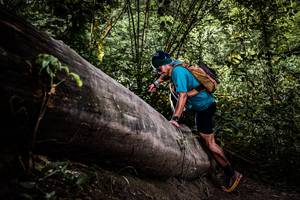 BIB: 
                            <button type="button" onclick="openModal(13523408)" class="btn btn-primary btn-sm float-right btn-popup" data-toggle="modal" data-target=".modal-high-quality">
                        <i class="fas fa-shopping-cart"></i> Add to Cart
                    </button>
                                            <button type="button" onclick="isThisMe(13523408, true)" class="btn btn-success btn-sm float-right btn-popup btn-isme hidden" data-toggle="tooltip" data-placement="bottom" title="นี่คือรูปของคุณใช่ไหม คลิกที่นี่เพื่อเอาเข้าอัลบั้ม">
                        <i class="fas fa-plus"></i> Add to album
                    </button>
                    <button type="button" onclick="isThisMe(13523408, false)" class="btn btn-warning btn-sm float-right btn-popup btn-isnotme hidden">
                        <i class="fas fa-ban"></i> Remove from album
                    </button>