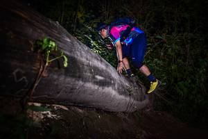 BIB: 
                            <button type="button" onclick="openModal(13519003)" class="btn btn-primary btn-sm float-right btn-popup" data-toggle="modal" data-target=".modal-high-quality">
                        <i class="fas fa-shopping-cart"></i> Add to Cart
                    </button>
                                            <button type="button" onclick="isThisMe(13519003, true)" class="btn btn-success btn-sm float-right btn-popup btn-isme hidden" data-toggle="tooltip" data-placement="bottom" title="นี่คือรูปของคุณใช่ไหม คลิกที่นี่เพื่อเอาเข้าอัลบั้ม">
                        <i class="fas fa-plus"></i> Add to album
                    </button>
                    <button type="button" onclick="isThisMe(13519003, false)" class="btn btn-warning btn-sm float-right btn-popup btn-isnotme hidden">
                        <i class="fas fa-ban"></i> Remove from album
                    </button>