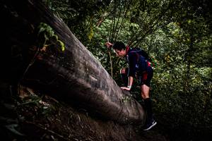 BIB: 
                            <button type="button" onclick="openModal(13525508)" class="btn btn-primary btn-sm float-right btn-popup" data-toggle="modal" data-target=".modal-high-quality">
                        <i class="fas fa-shopping-cart"></i> Add to Cart
                    </button>
                                            <button type="button" onclick="isThisMe(13525508, true)" class="btn btn-success btn-sm float-right btn-popup btn-isme hidden" data-toggle="tooltip" data-placement="bottom" title="นี่คือรูปของคุณใช่ไหม คลิกที่นี่เพื่อเอาเข้าอัลบั้ม">
                        <i class="fas fa-plus"></i> Add to album
                    </button>
                    <button type="button" onclick="isThisMe(13525508, false)" class="btn btn-warning btn-sm float-right btn-popup btn-isnotme hidden">
                        <i class="fas fa-ban"></i> Remove from album
                    </button>