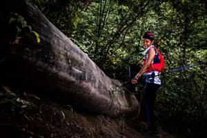 BIB: 
                            <button type="button" onclick="openModal(13525588)" class="btn btn-primary btn-sm float-right btn-popup" data-toggle="modal" data-target=".modal-high-quality">
                        <i class="fas fa-shopping-cart"></i> Add to Cart
                    </button>
                                            <button type="button" onclick="isThisMe(13525588, true)" class="btn btn-success btn-sm float-right btn-popup btn-isme hidden" data-toggle="tooltip" data-placement="bottom" title="นี่คือรูปของคุณใช่ไหม คลิกที่นี่เพื่อเอาเข้าอัลบั้ม">
                        <i class="fas fa-plus"></i> Add to album
                    </button>
                    <button type="button" onclick="isThisMe(13525588, false)" class="btn btn-warning btn-sm float-right btn-popup btn-isnotme hidden">
                        <i class="fas fa-ban"></i> Remove from album
                    </button>