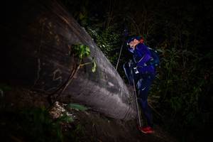 BIB: 
                            <button type="button" onclick="openModal(13518305)" class="btn btn-primary btn-sm float-right btn-popup" data-toggle="modal" data-target=".modal-high-quality">
                        <i class="fas fa-shopping-cart"></i> Add to Cart
                    </button>
                                            <button type="button" onclick="isThisMe(13518305, true)" class="btn btn-success btn-sm float-right btn-popup btn-isme hidden" data-toggle="tooltip" data-placement="bottom" title="นี่คือรูปของคุณใช่ไหม คลิกที่นี่เพื่อเอาเข้าอัลบั้ม">
                        <i class="fas fa-plus"></i> Add to album
                    </button>
                    <button type="button" onclick="isThisMe(13518305, false)" class="btn btn-warning btn-sm float-right btn-popup btn-isnotme hidden">
                        <i class="fas fa-ban"></i> Remove from album
                    </button>