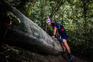 BIB: 
                            <button type="button" onclick="openModal(13523534)" class="btn btn-primary btn-sm float-right btn-popup" data-toggle="modal" data-target=".modal-high-quality">
                        <i class="fas fa-shopping-cart"></i> Add to Cart
                    </button>
                                            <button type="button" onclick="isThisMe(13523534, true)" class="btn btn-success btn-sm float-right btn-popup btn-isme hidden" data-toggle="tooltip" data-placement="bottom" title="นี่คือรูปของคุณใช่ไหม คลิกที่นี่เพื่อเอาเข้าอัลบั้ม">
                        <i class="fas fa-plus"></i> Add to album
                    </button>
                    <button type="button" onclick="isThisMe(13523534, false)" class="btn btn-warning btn-sm float-right btn-popup btn-isnotme hidden">
                        <i class="fas fa-ban"></i> Remove from album
                    </button>