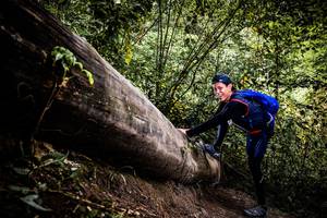 BIB: 
                            <button type="button" onclick="openModal(13525856)" class="btn btn-primary btn-sm float-right btn-popup" data-toggle="modal" data-target=".modal-high-quality">
                        <i class="fas fa-shopping-cart"></i> Add to Cart
                    </button>
                                            <button type="button" onclick="isThisMe(13525856, true)" class="btn btn-success btn-sm float-right btn-popup btn-isme hidden" data-toggle="tooltip" data-placement="bottom" title="นี่คือรูปของคุณใช่ไหม คลิกที่นี่เพื่อเอาเข้าอัลบั้ม">
                        <i class="fas fa-plus"></i> Add to album
                    </button>
                    <button type="button" onclick="isThisMe(13525856, false)" class="btn btn-warning btn-sm float-right btn-popup btn-isnotme hidden">
                        <i class="fas fa-ban"></i> Remove from album
                    </button>